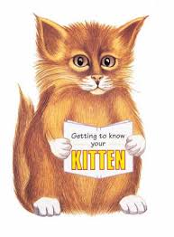 Getting To Know Your Kitten ( Die-cut shape book )
