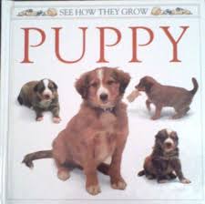 Puppy ( See how they Grow )
