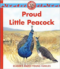 Proud Little Peacock

