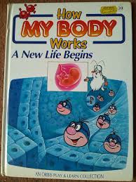 How My Body Works: A New Life Begins. Vol 20
