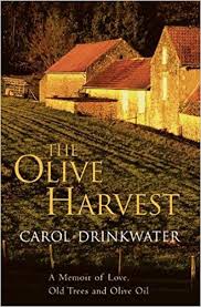 The Olive Harvest
