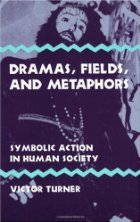 Dramas, fields, and metaphors
