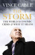 the storm : the world economic crisis and what it means