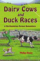 dairy cows and duck races