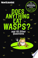 does anything eat wasps