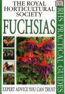 fuchsias