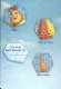 disney's chicken little