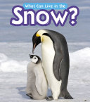 what can live in the snow?