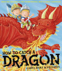 how to catch a dragon