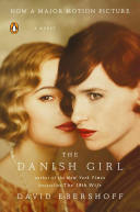 the danish girl: a novel