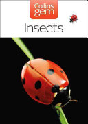 insects