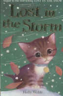 lost in the storm