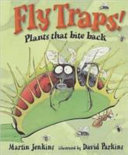 fly traps!
