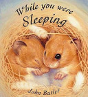 while you were sleeping
