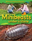 minibeasts under a stone
