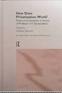 how does privatization work? essays on privatization in honour of professor v.v  ramanadham