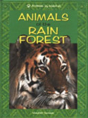 animals of the rain forest
