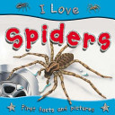 i love spiders