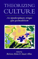 theorizing culture. an interdisciplinary critique after postmedernism (pb