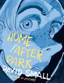 home after dark (graphic novel