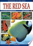 the red sea