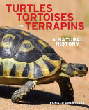 turtles, tortoises and terrapins