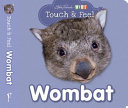 touch and feel wombat