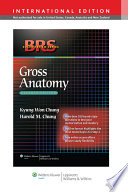 brs gross anatomy