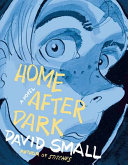 home after dark. a graphic novel (hb))