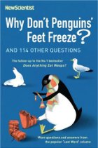 Why don't penguins' feet freeze?