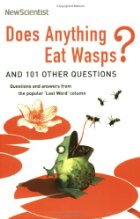 Does anything eat wasps?