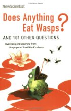 Does anything eat wasps?
