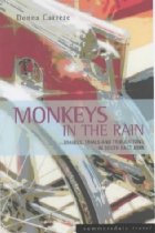 Monkeys in the rain
