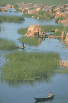 Return to the Marshes
