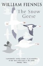 The snow geese

