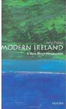 Modern Ireland
