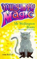 Mr Wellington Boots