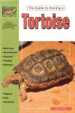 tortoises