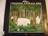 Luminous animals and other drawings
