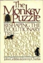 The monkey puzzle
