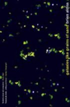 Galaxies like grains of sand
