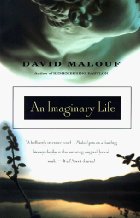 An imaginary life
