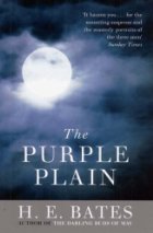 Purple Plain
