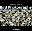 An Essential Guide to Bird Photography
