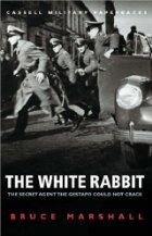 The white rabbit
