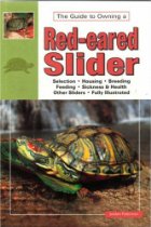 The guide to owning a Red-eared slider

