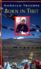 born in tibet