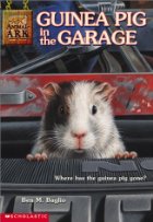 Guinea Pig in the Garage
