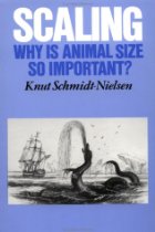 Scaling, why is animal size so important?
