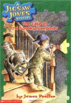 The case of the spooky sleepover
